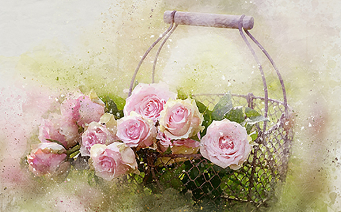 礼品篮 watercolor-roses